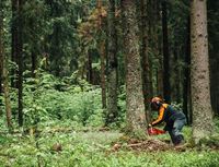 Promo Echo CS-501SX с 5 години гаранция